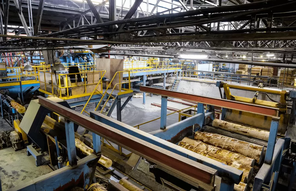 Новые Технологии Русский Лес